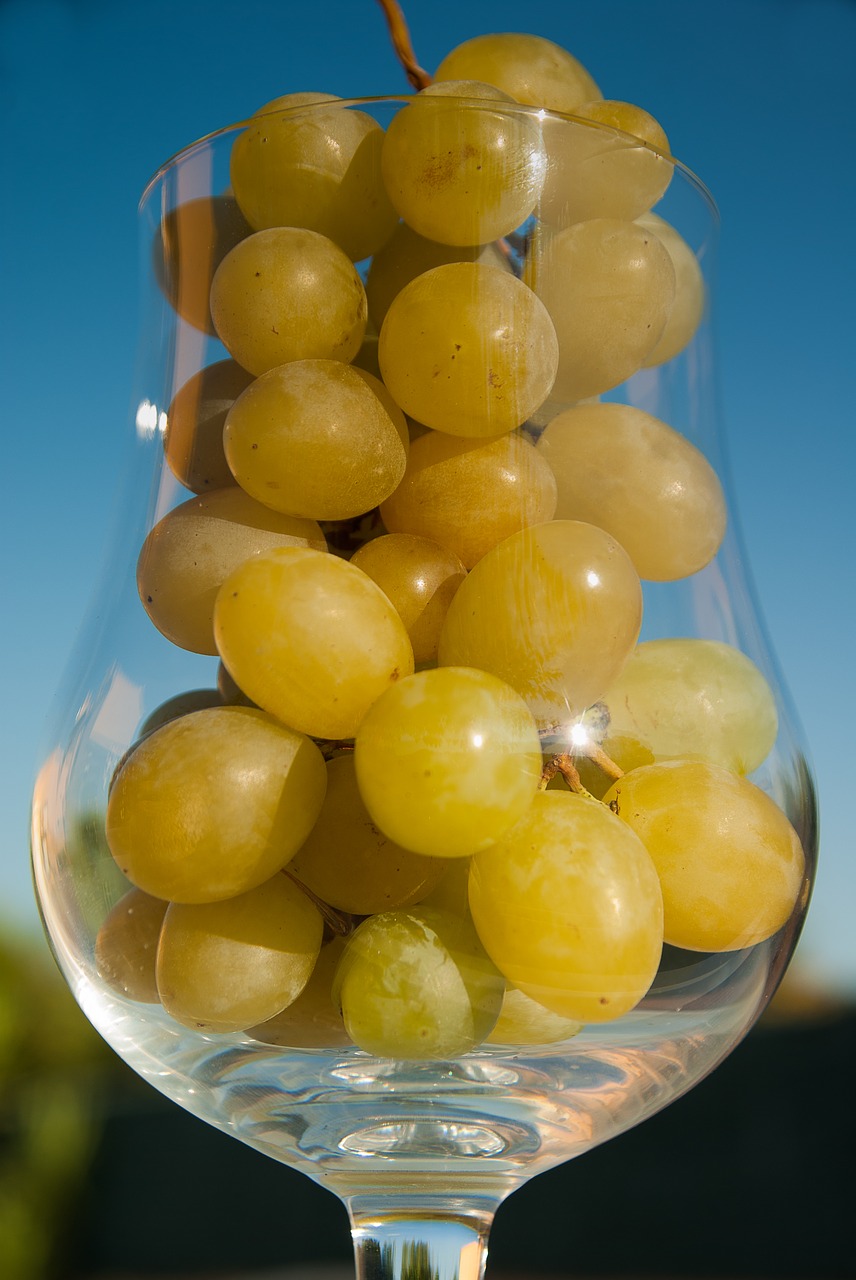 white grape glass harvest free photo