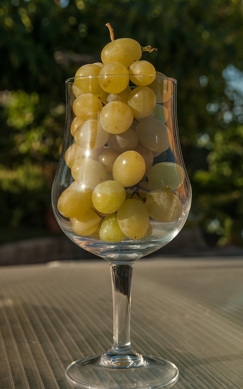 white grape glass harvest free photo