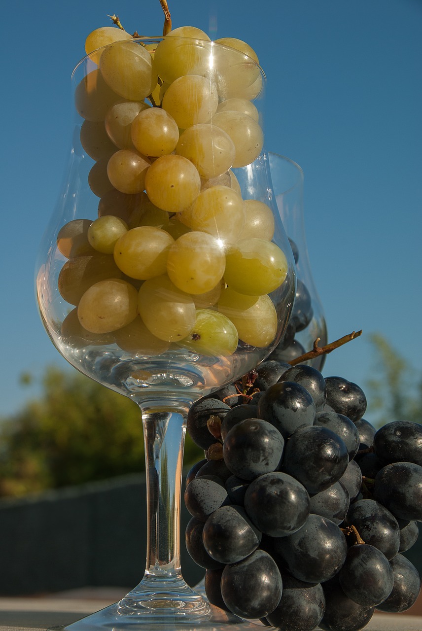 white grape black grape glass free photo