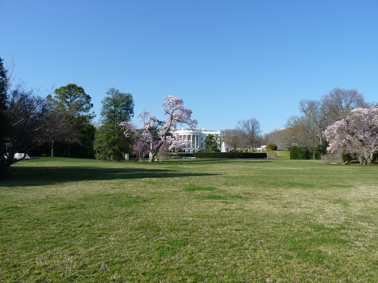 white house washington dc politics free photo