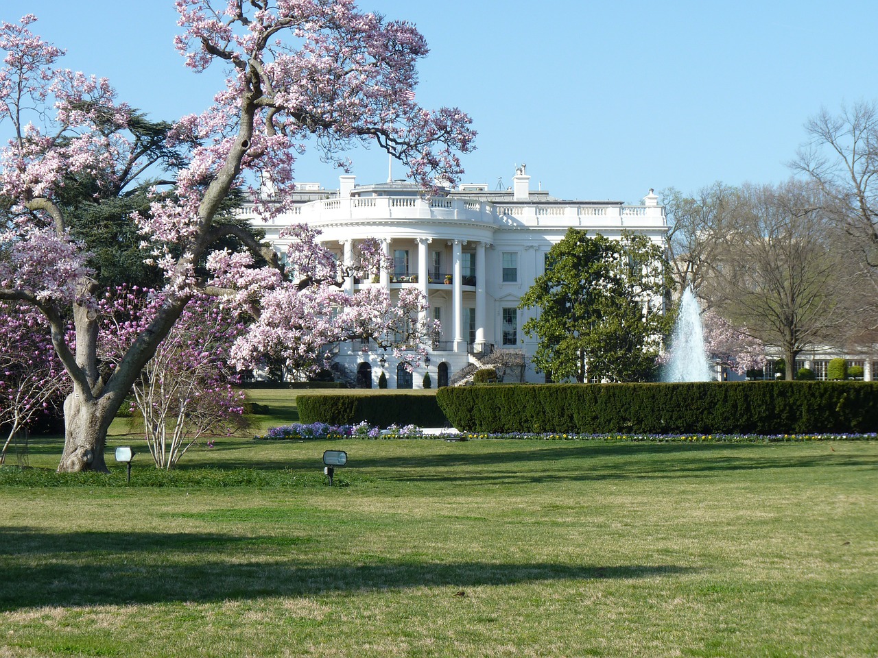 white house washington dc politics free photo