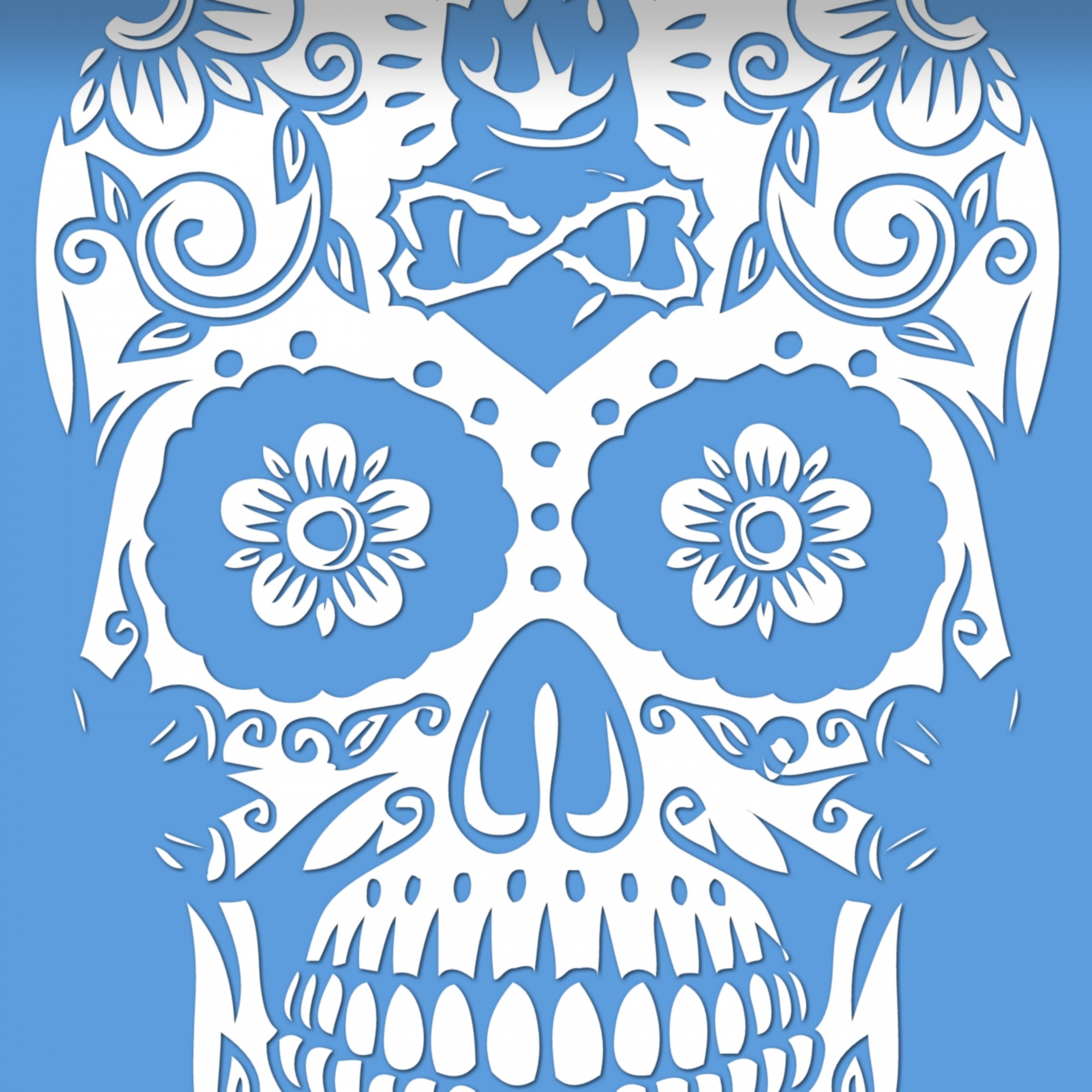 wallpaper white skull free photo