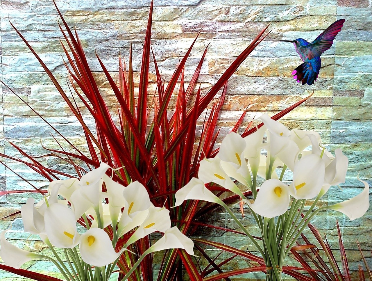 white lilies lirios flowers free photo