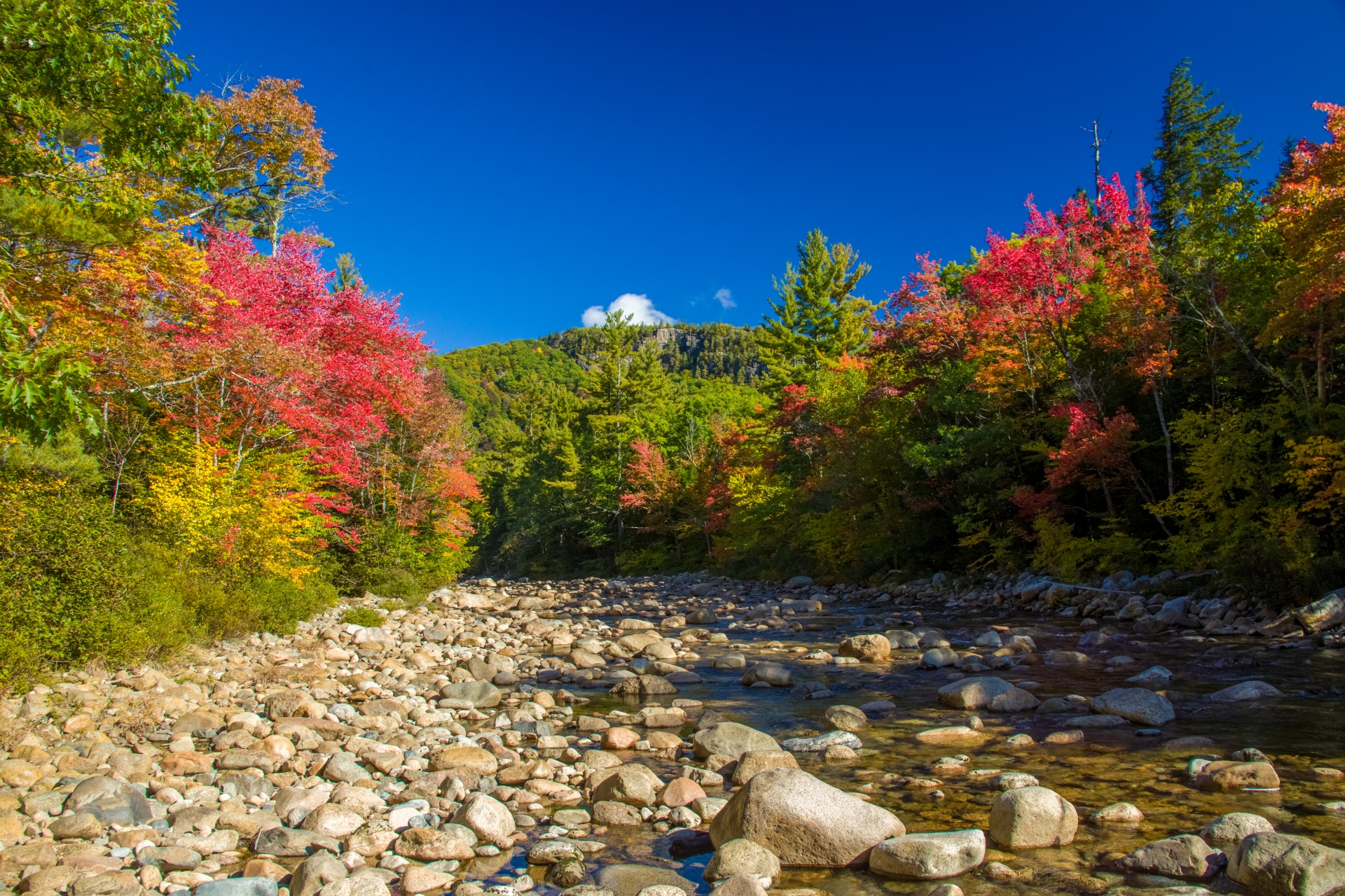 autumn color colorful free photo