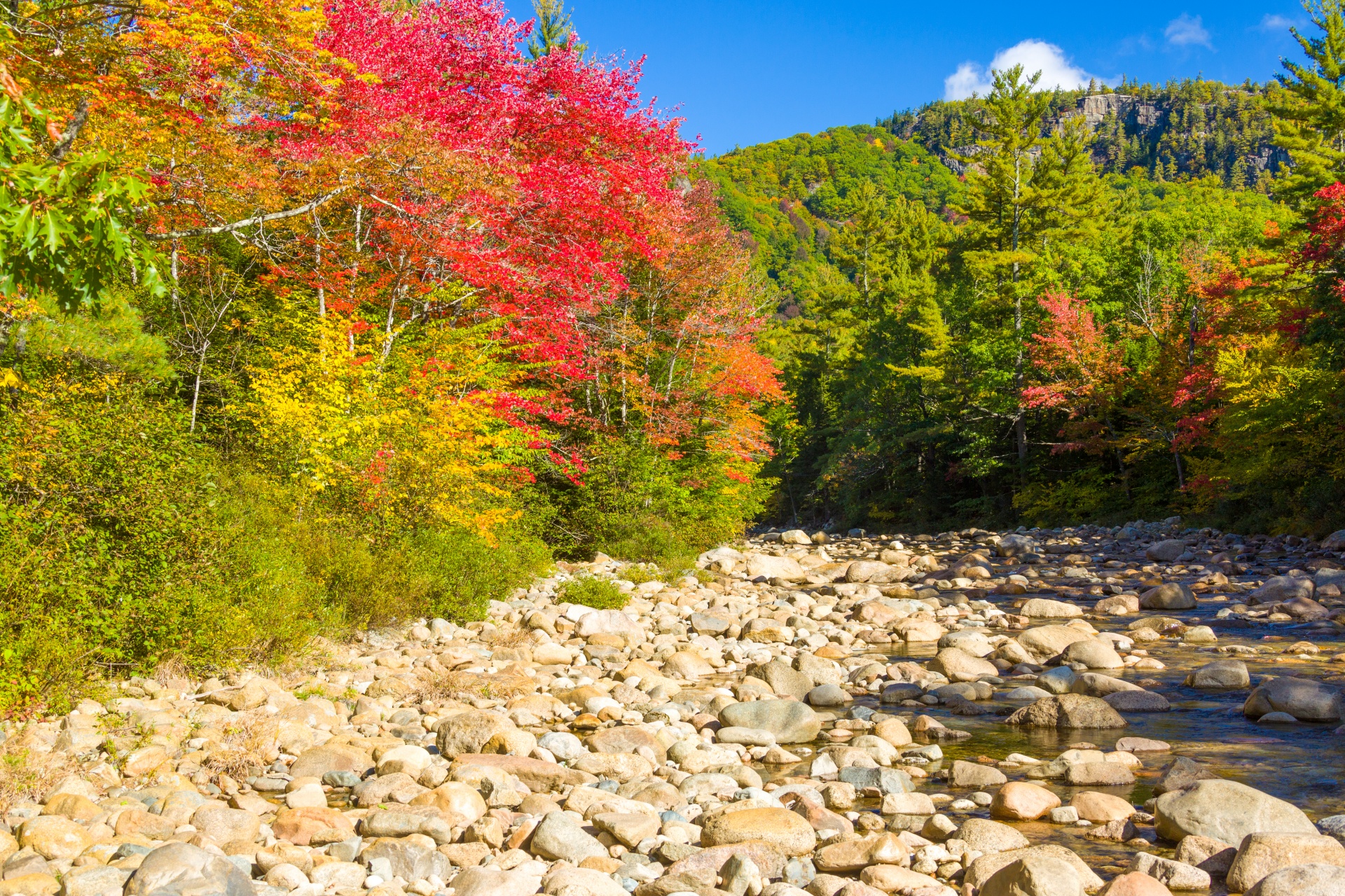 autumn color colorful free photo