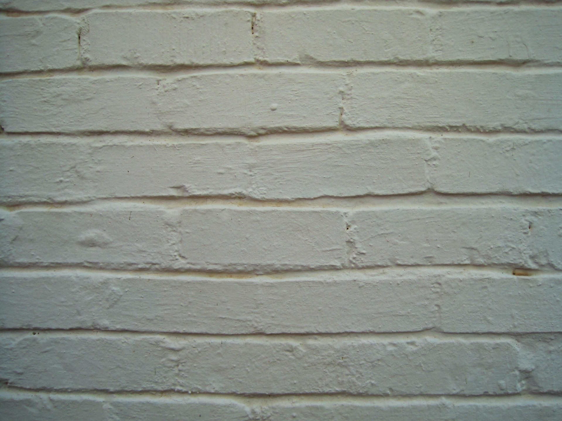 wall bricks white free photo