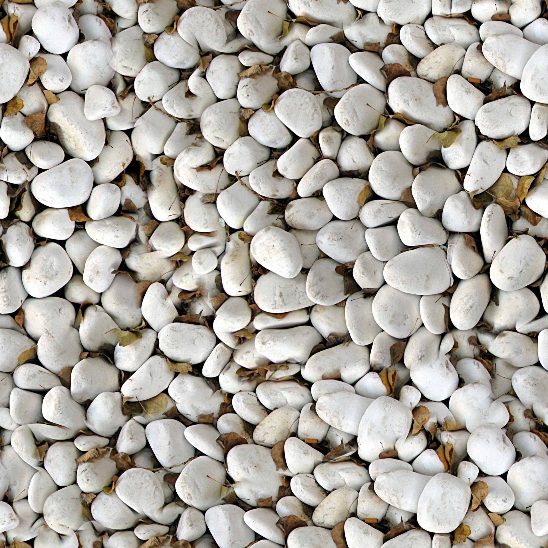 pebbles small round free photo