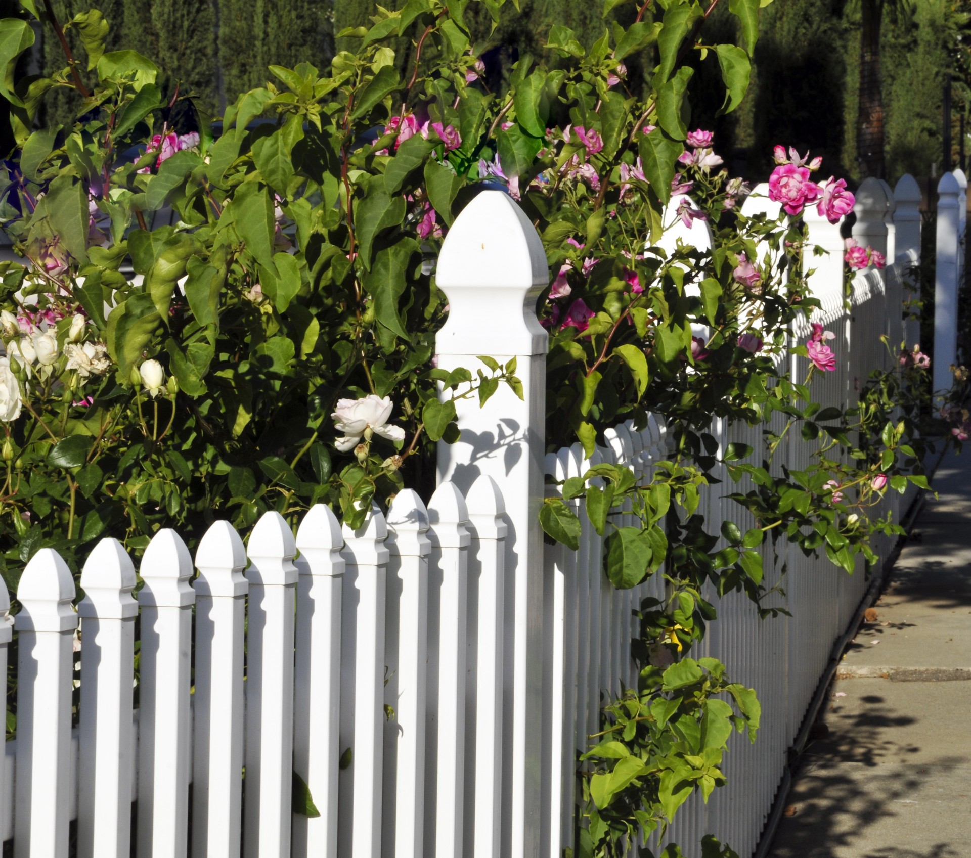 white picket fence fence green free photo