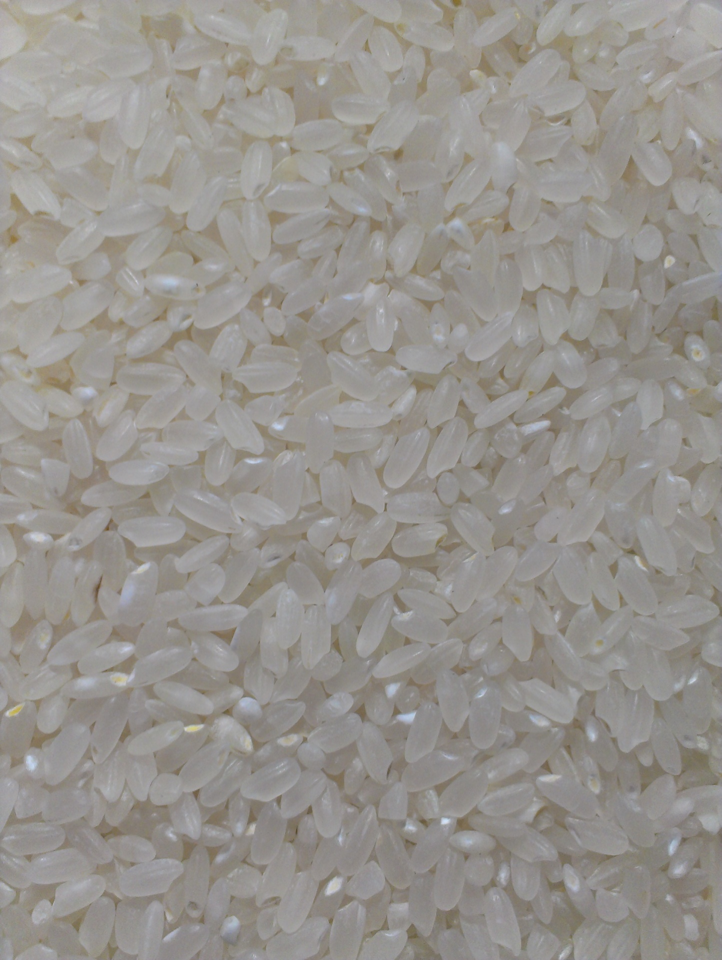 rice grain white rice free photo