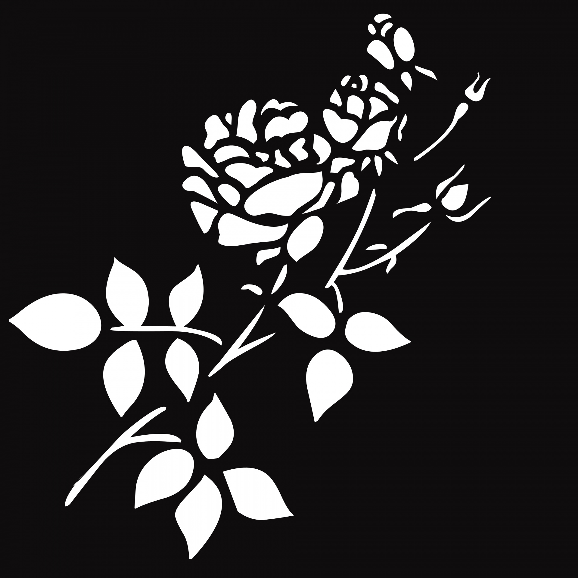 Divine Designs Black and White Rose Flower Sketch Vinyl Decal Sticker 4  Wide  Amazonin Home Improvement