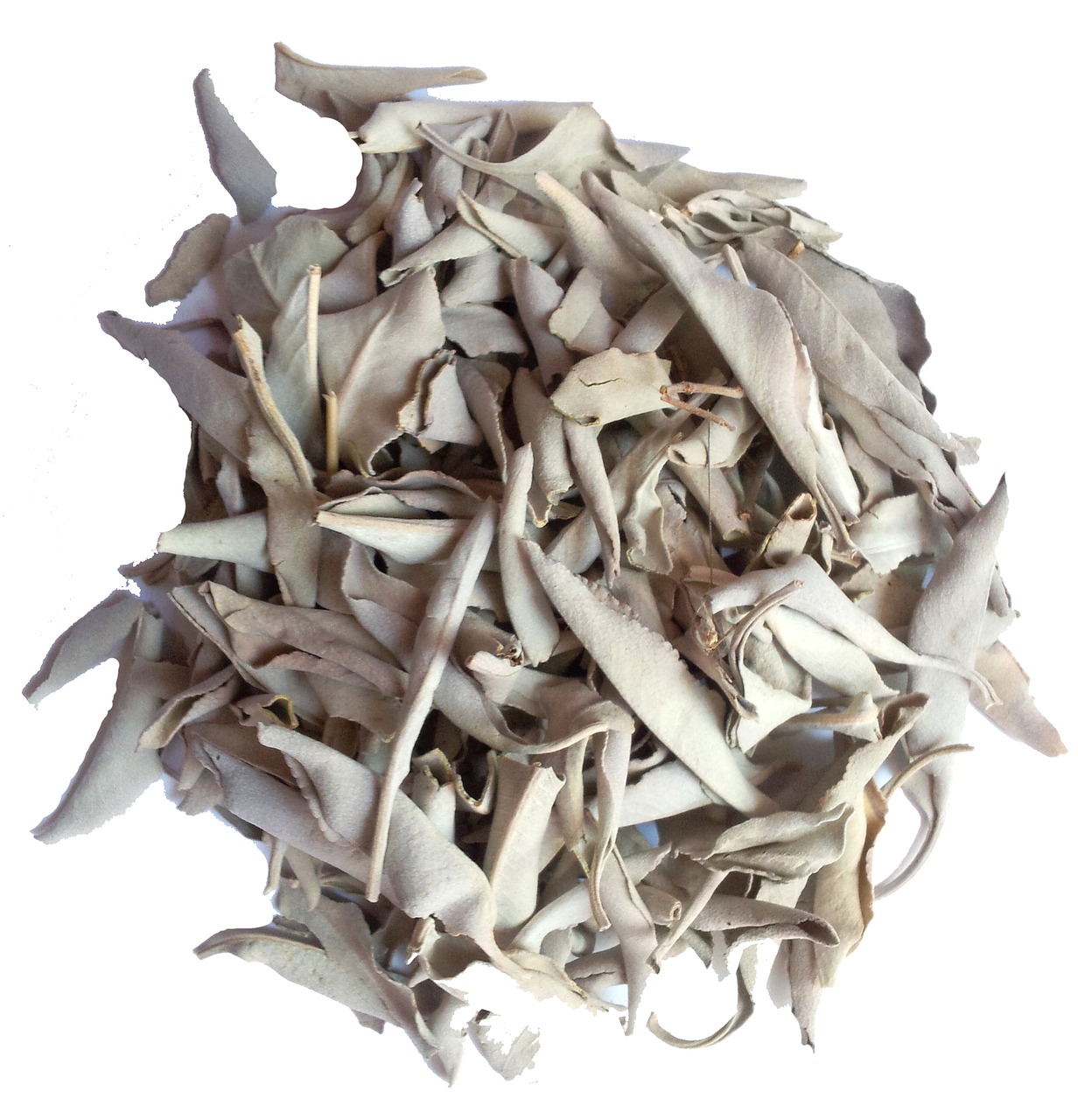 white sage incense energy cleaning free photo