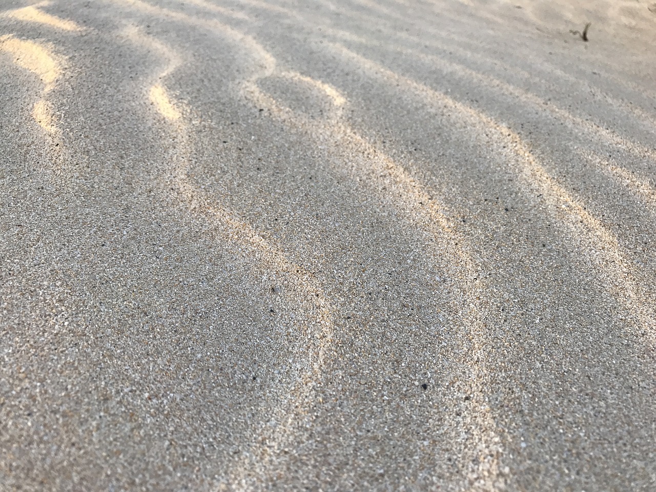 white sand ripples sand free photo