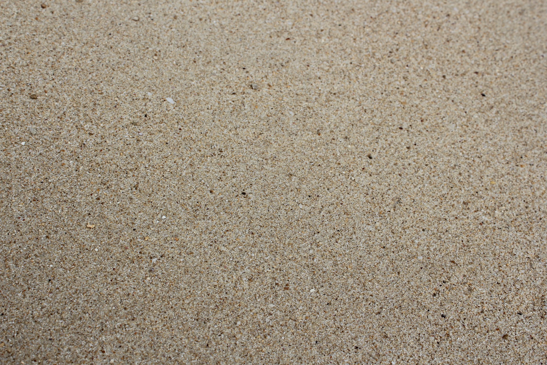white sand background pebbles tiny pebbles free photo