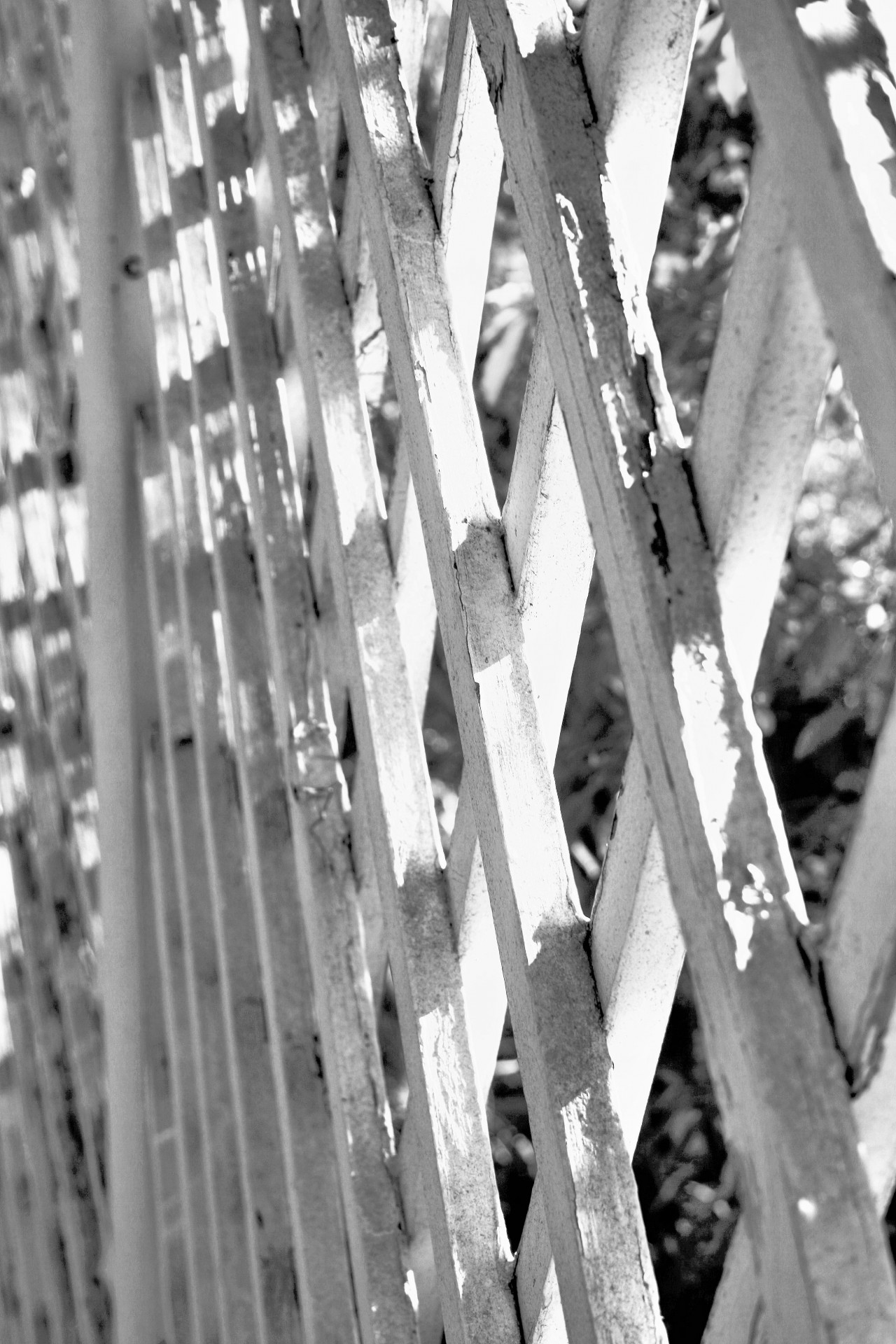 trellis white wood free photo