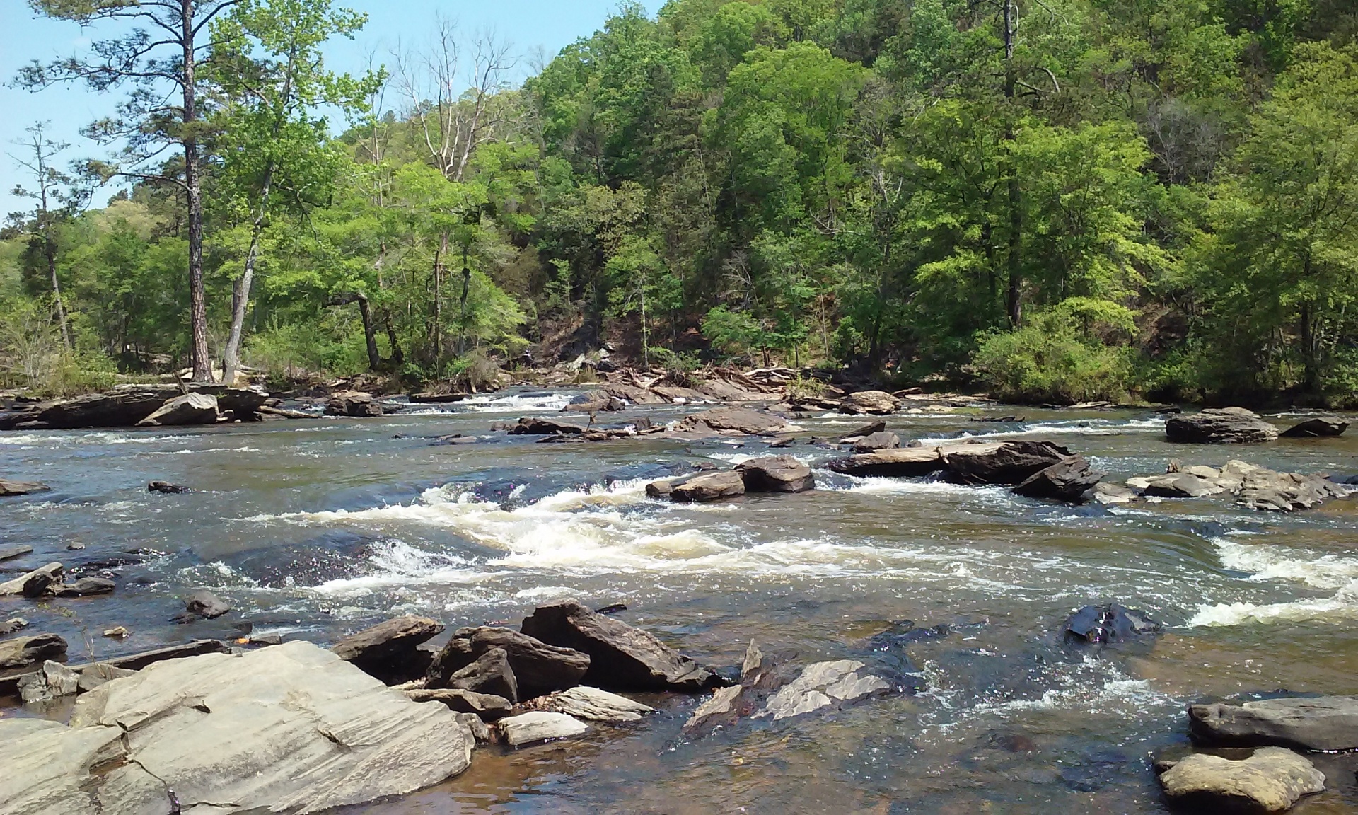 water river creek free photo