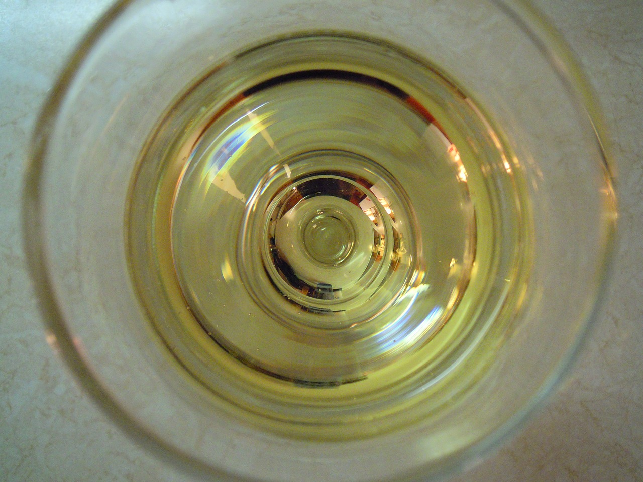 white wine wine glass drinking free photo