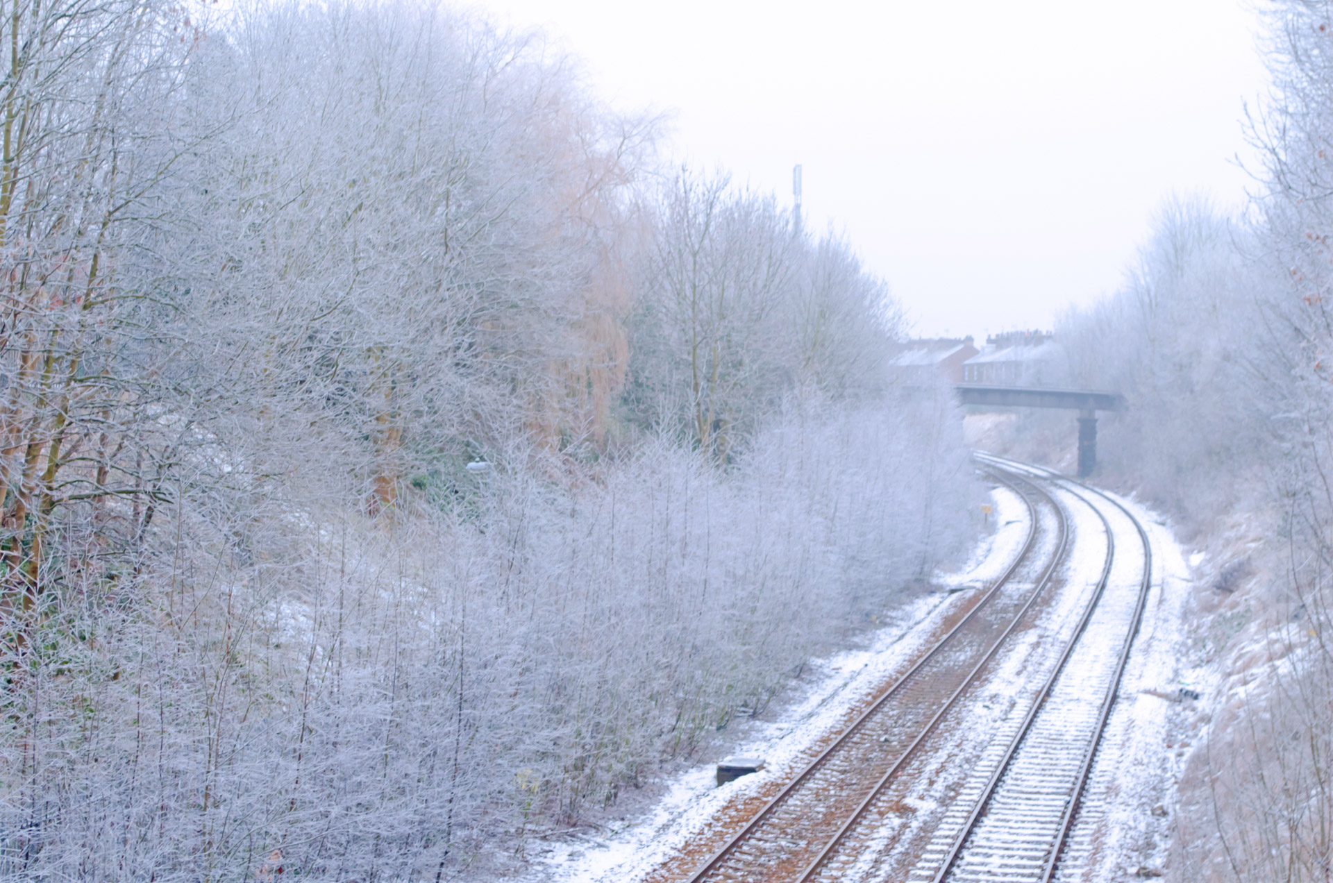 winter frost landscape free photo