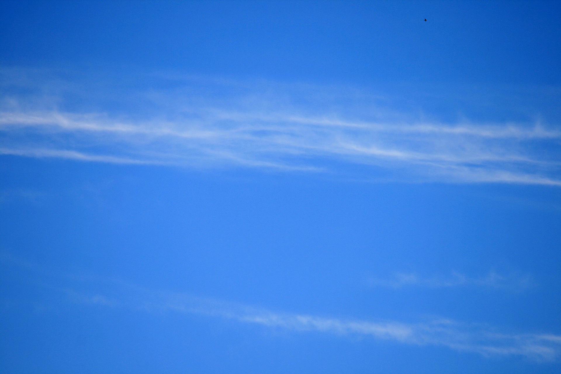 sky blue cloud free photo
