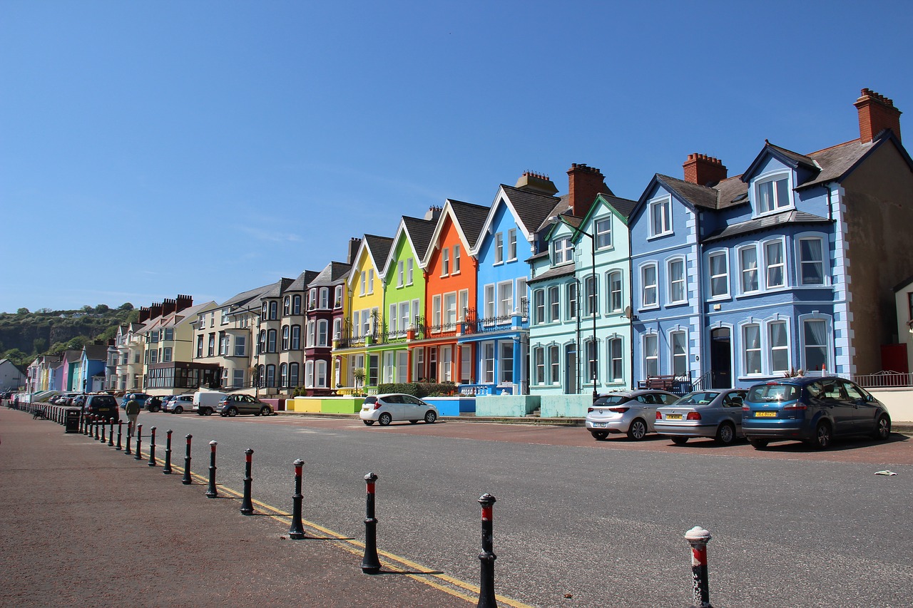 whitehead  northern ireland  colors free photo