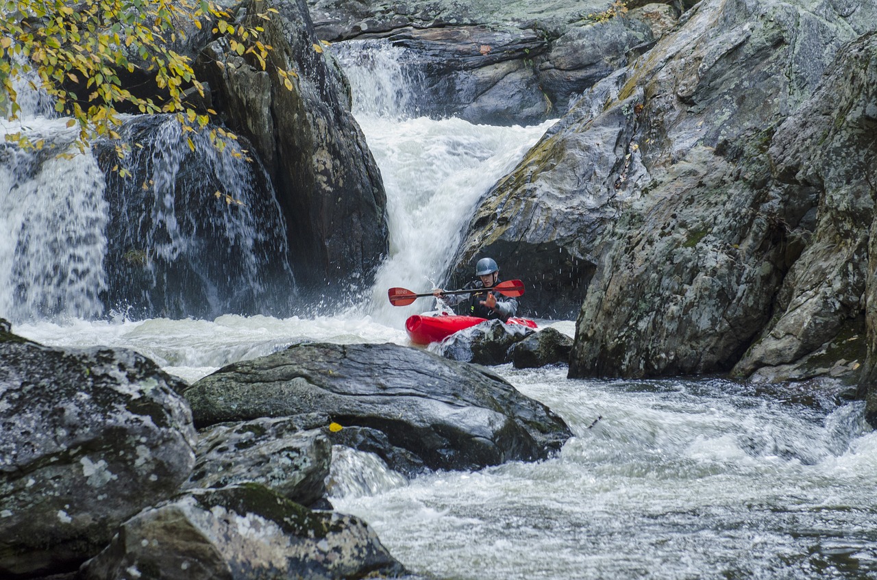 whitewater  kayaking  kayak free photo