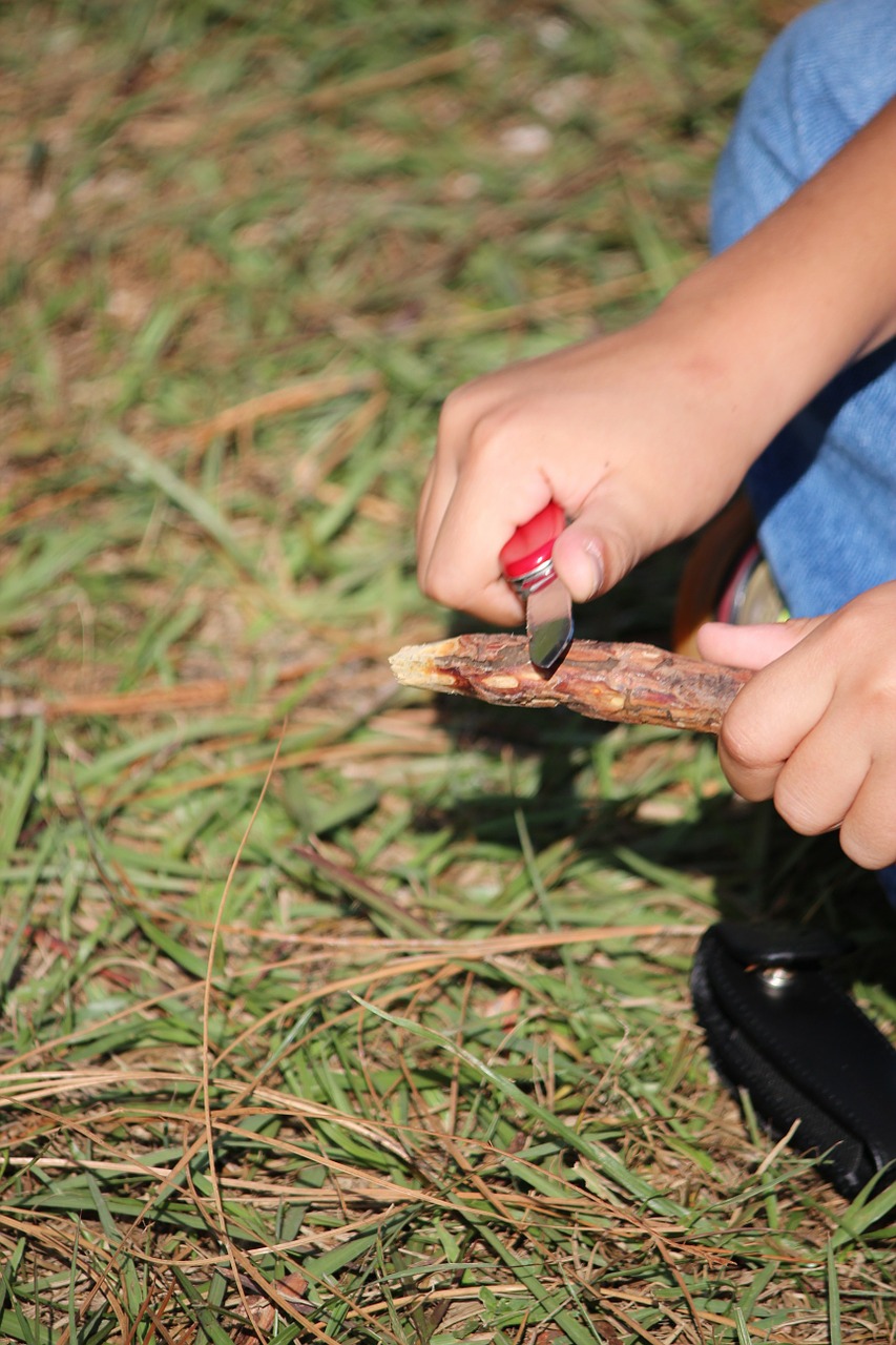 whittling scouts summer free photo