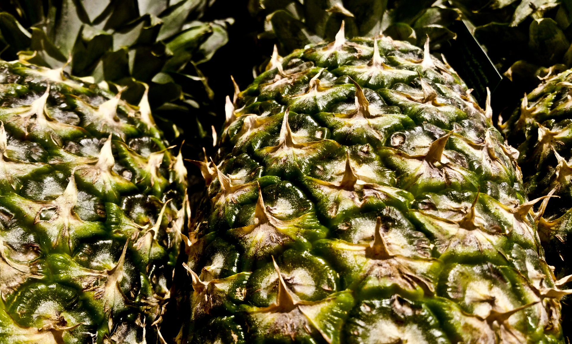 fruit pineapple skin free photo