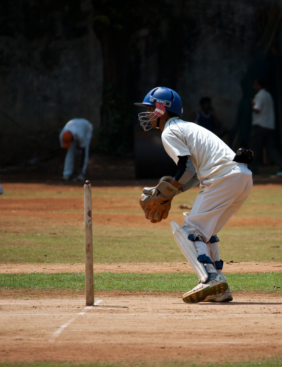 wicket keeper sports cricket free photo