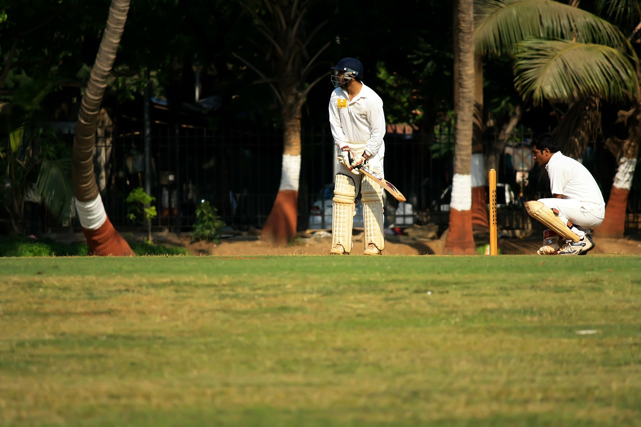 wicketkeeper cricket defense free photo