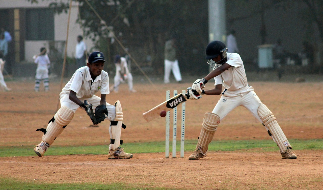 wicketkeeper cricket batsman free photo
