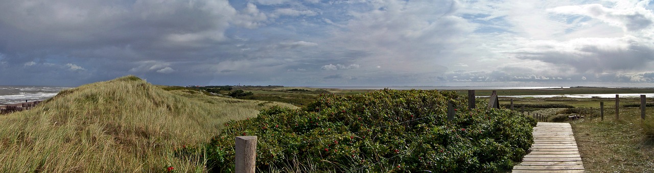 wide panorama north sea coast free photo