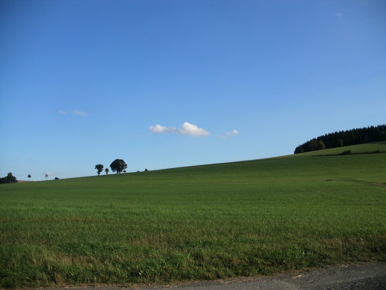 wide sky meadow free photo