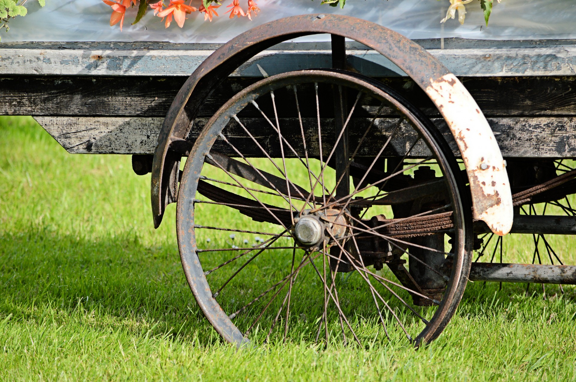 wheel bike bakfiets free photo