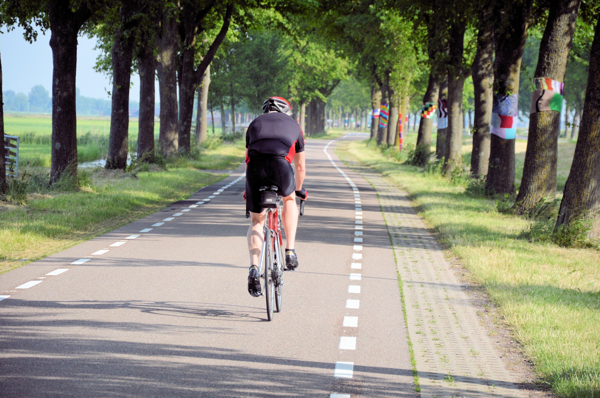 cyclist cycling bicycle free photo