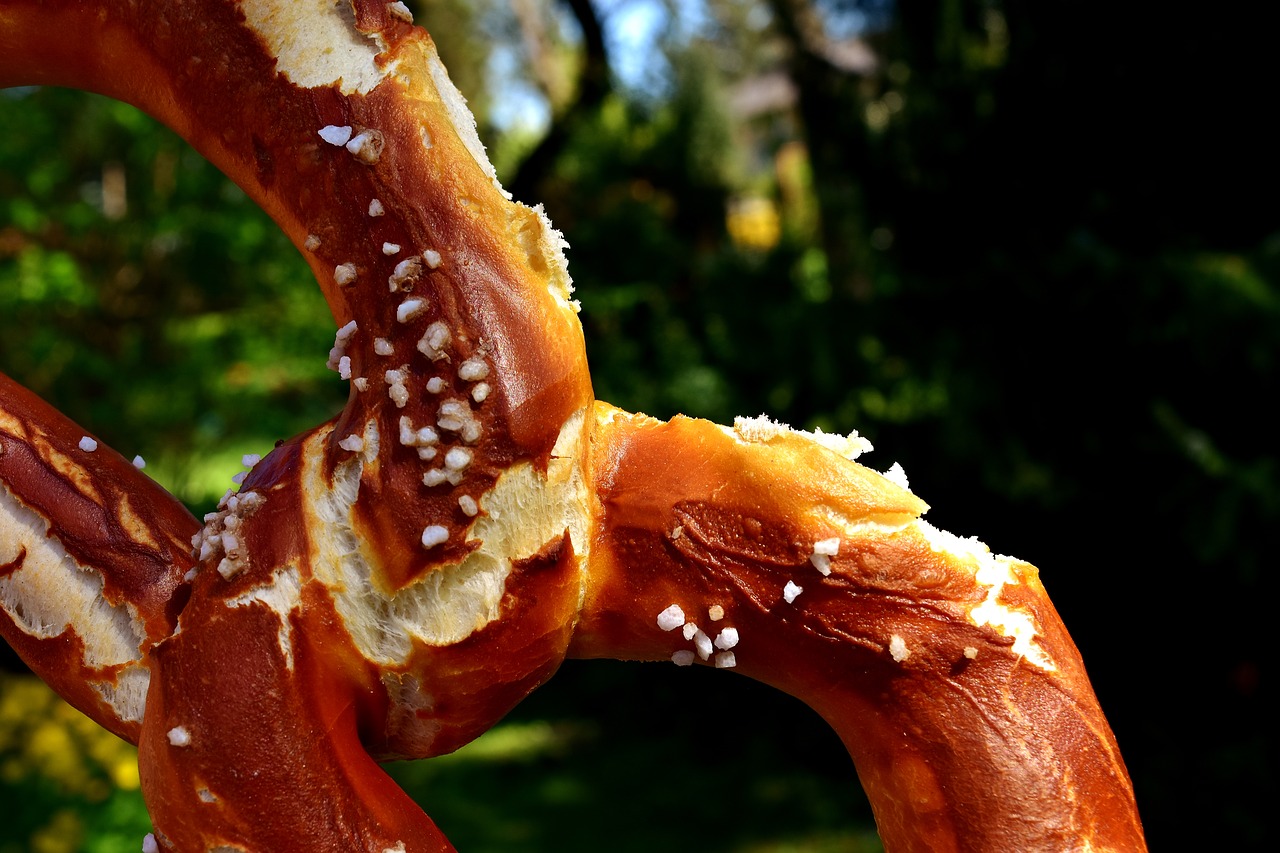 wiesnbreze breze pretzel free photo