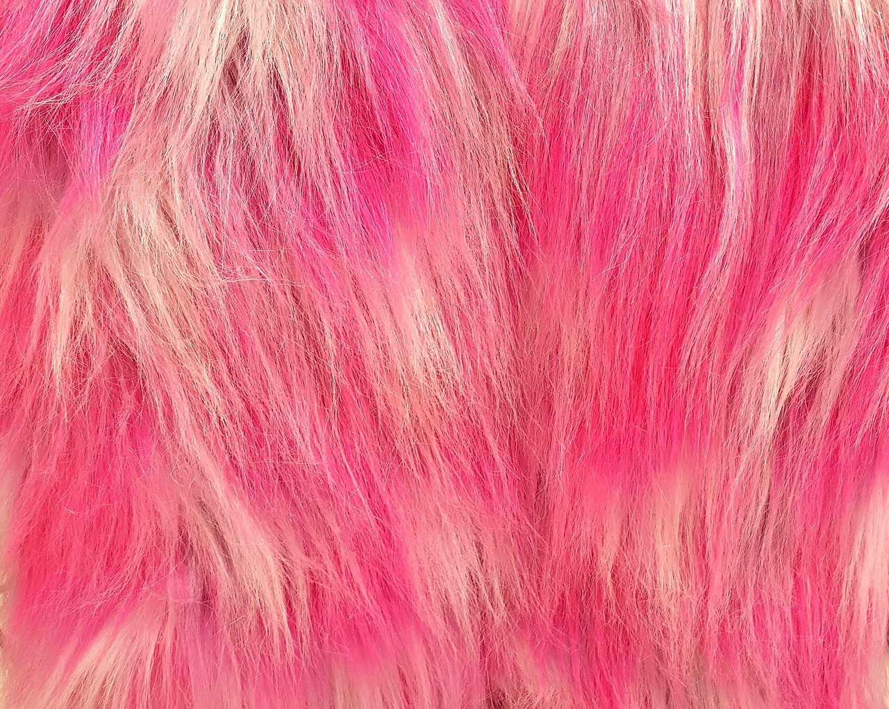 wig pink wig fashion free photo