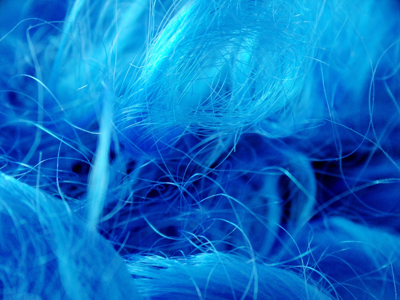 wig hair blue free photo