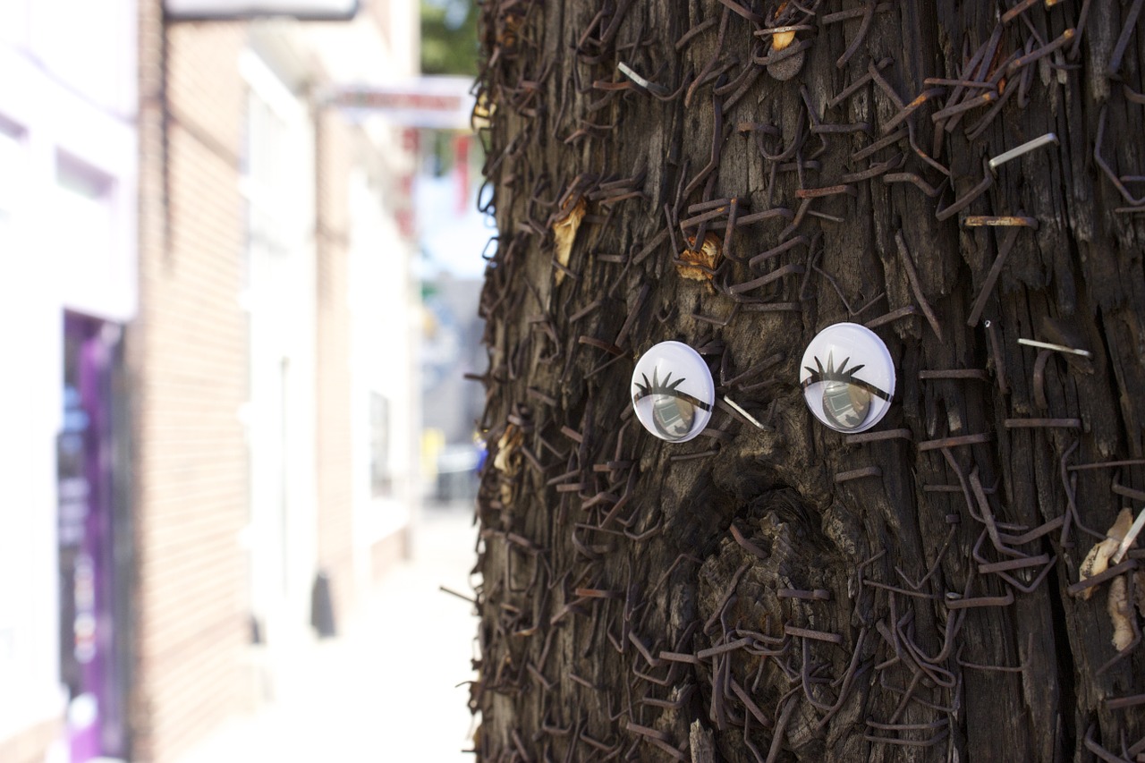 wiggle eyes old telephone pole staples free photo