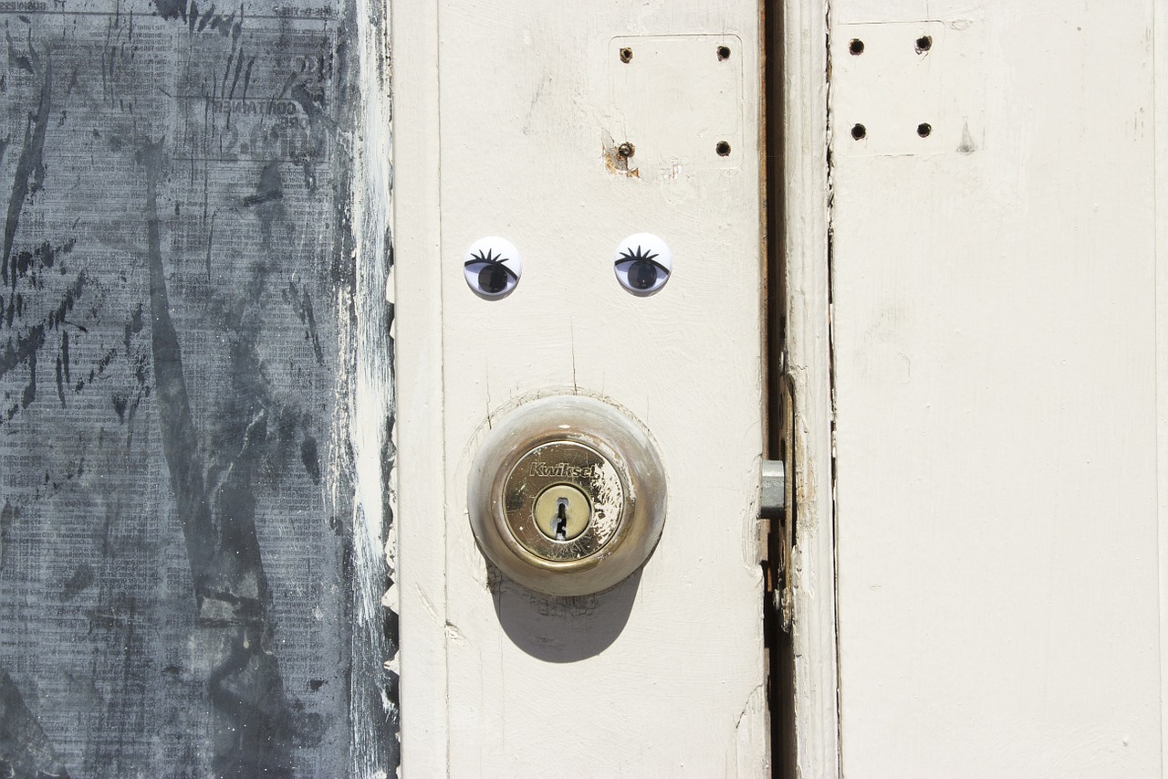 wiggle eyes door lock free photo