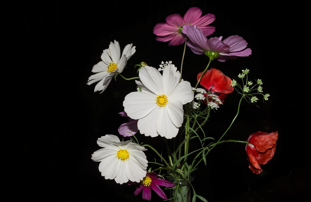 wild flowers bouquet free photo