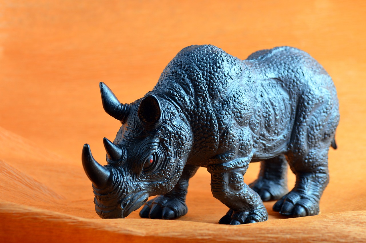 wild animals rhino toy free photo