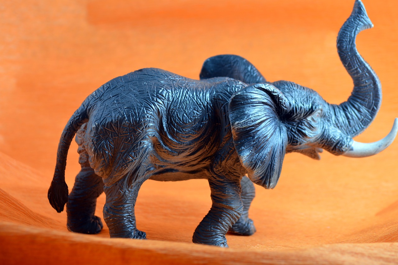 wild animals elephant toys free photo