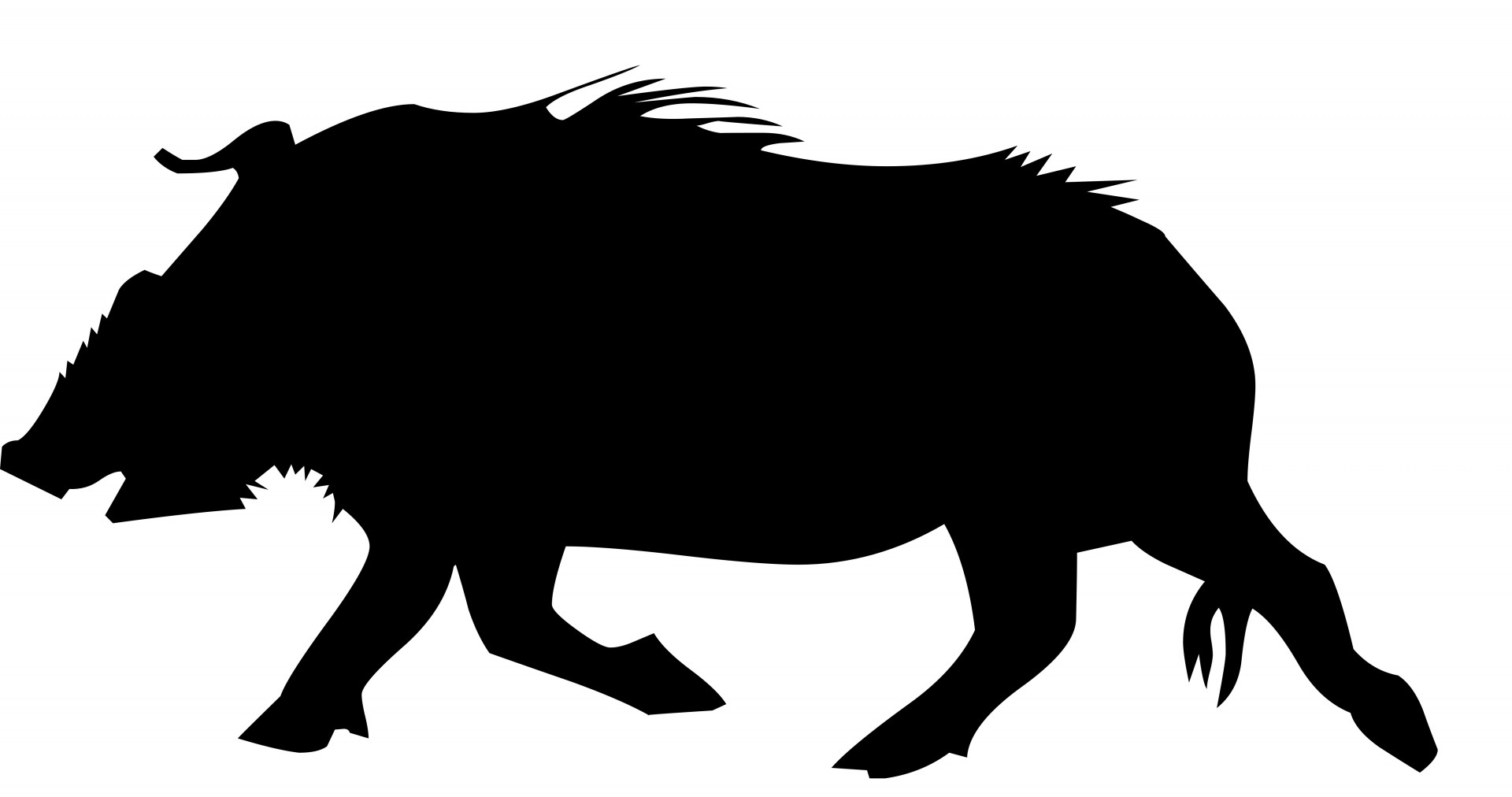 boar wild icon free photo