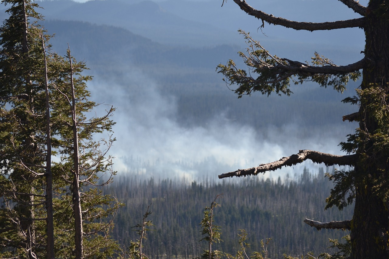 wild fire forest fire oregon free photo