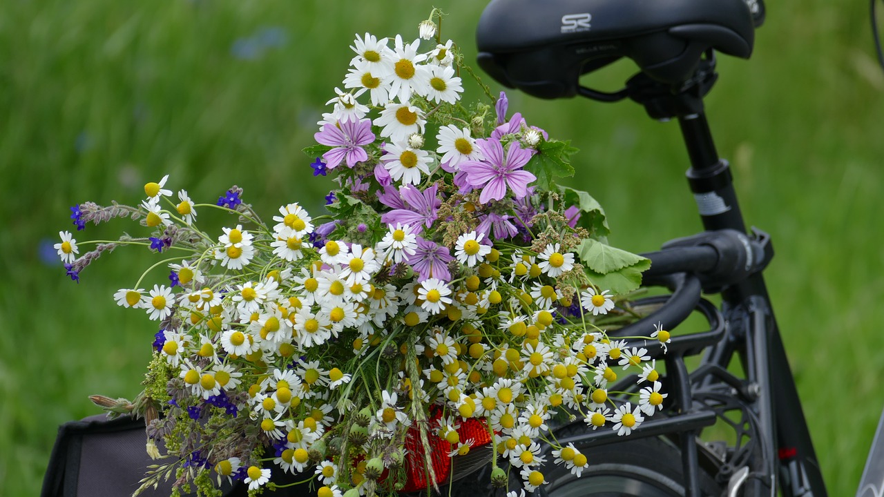 wild flowers wheel bike free photo