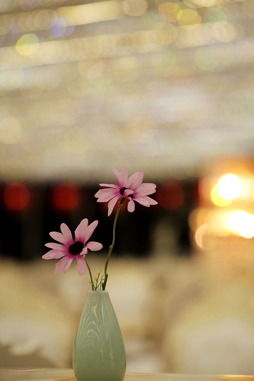 wild flowers vase still life free photo