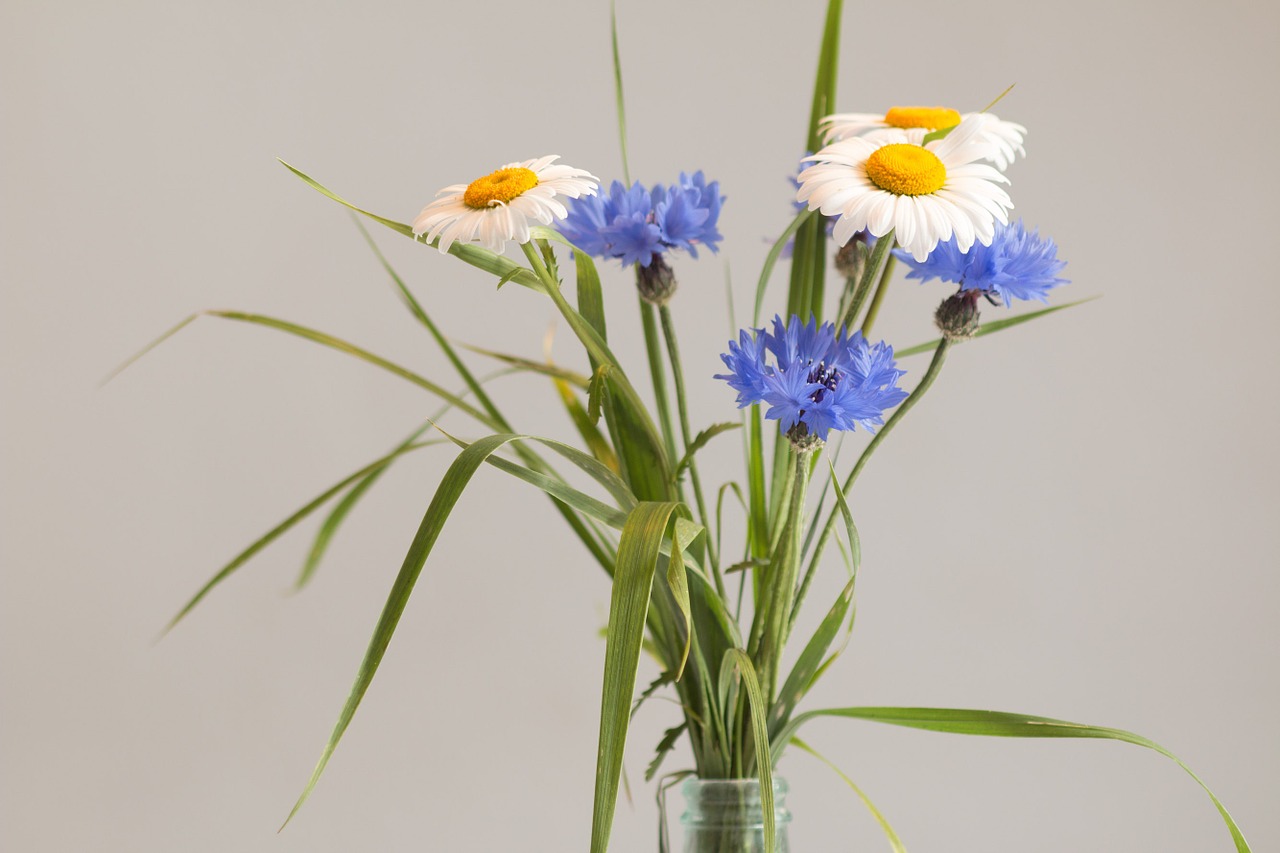 wild flowers bouquet flower vase still life free photo