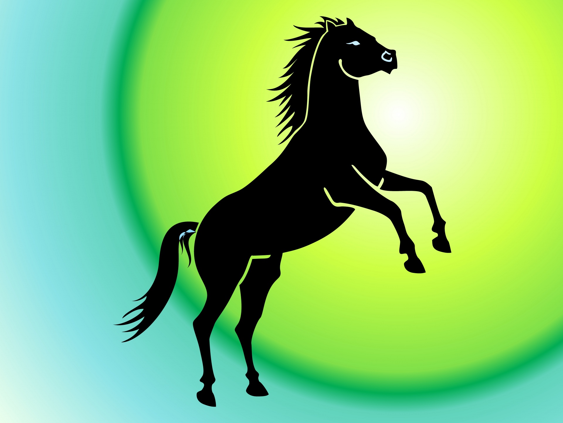 wild stallion speed free photo