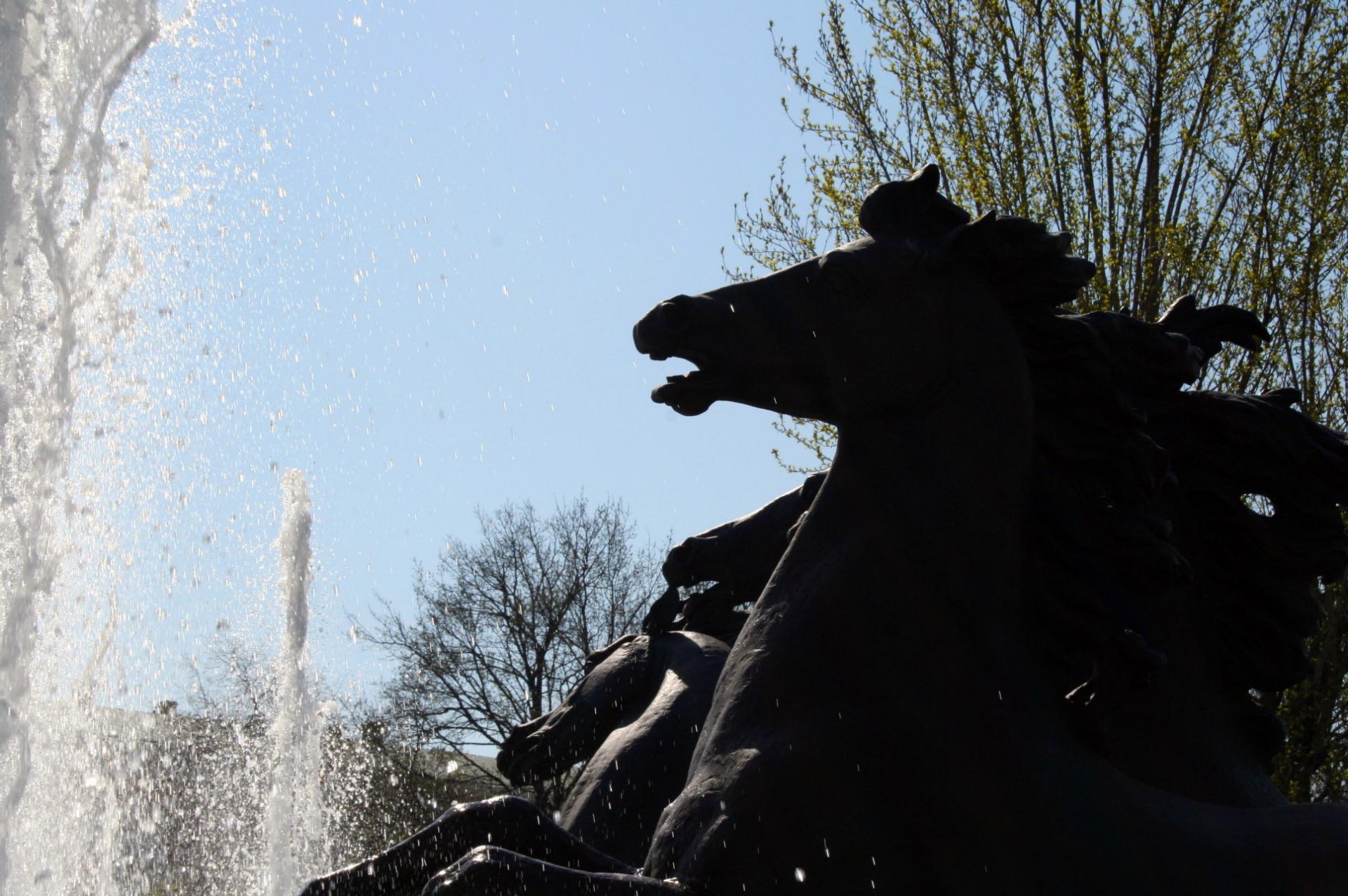 fountain horses statues free photo