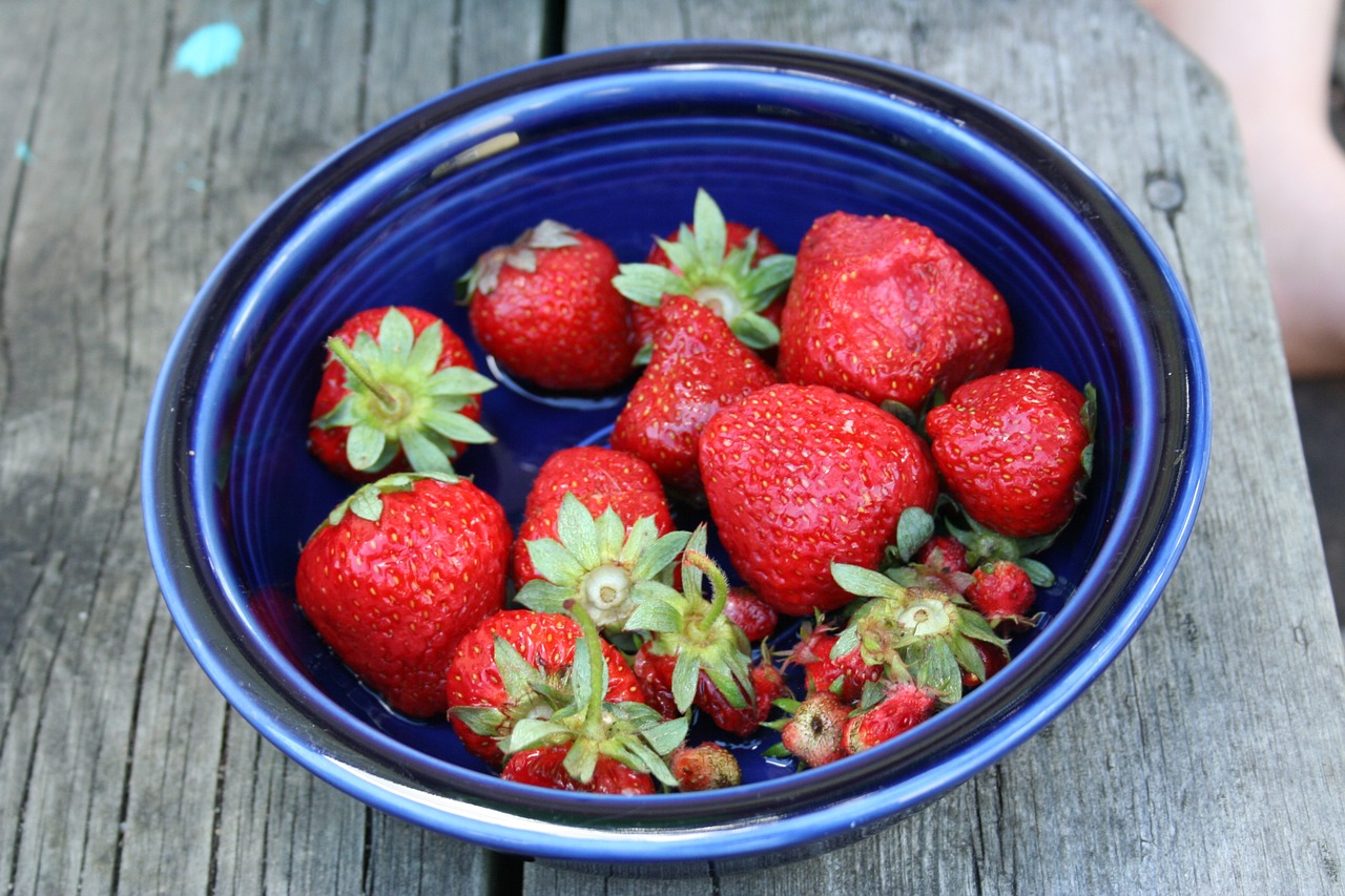 wild strawberries blue bowl blue free photo