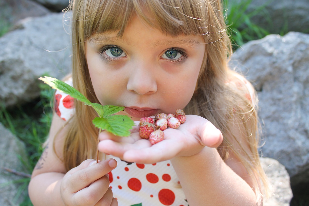 wild strawberry  summer  girl free photo